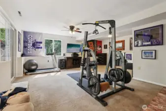 bonus room