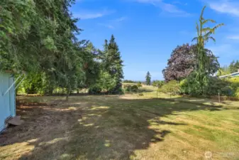 Plenty of room to play or maybe a garden