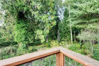 View from Back Deck