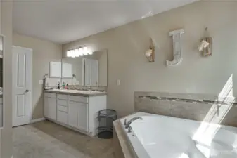 Primary bathroom