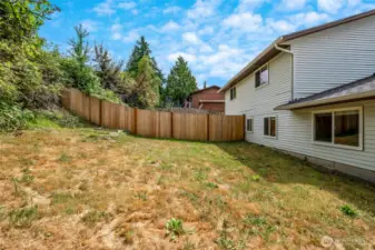 Large backyard