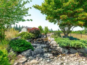 Water Feature