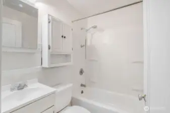 Hall Bathroom