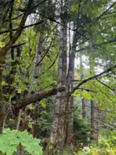 beautiful area for recreation