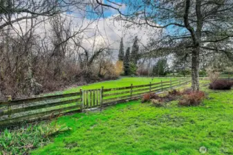 The property goes beyond the fence line.  Used to be a pasture for pony's