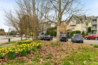 All of this *public* angle parking is right across from the unit. Usually most of it is empty (three of the cars in this photo belong to the agent and two photographers there at the time!). Red car on right is parallel parked in front of the unit, where there are even more public spaces.