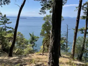 Beautiful west facing views