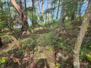 Interior lot