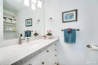 Notice the additional shelving over the toilet in the mirror.