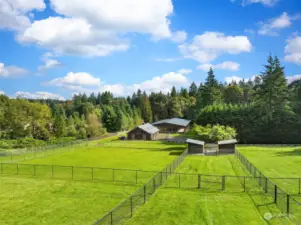 Loafing sheds, fenced and cross fenced pastures