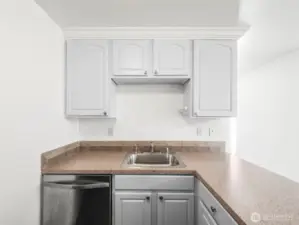 View of Sink and Dishwasher