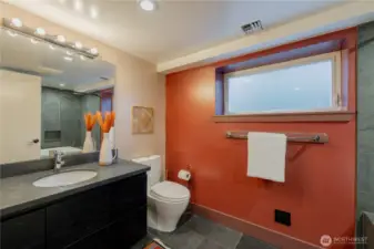Lower level bathroom