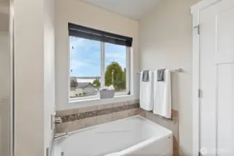 Soaking Tub with LAKE VIEW.