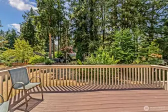 Main Level deck off Kitchen