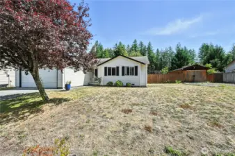 Large Front Yard