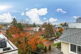 Rooftop view - city and territorial