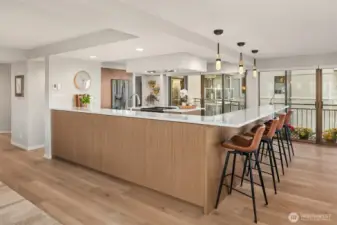 Huge chef's kitchen with custom built-ins