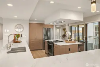 Huge chef's kitchen with custom built-ins