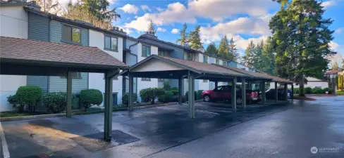 Front of the building with your own 1 car covered carport with plenty of parking across the street.