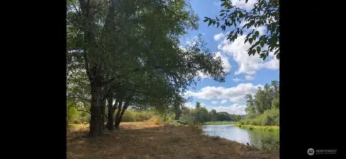 Chehalis riverfront area