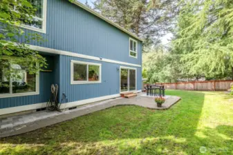 Level back yard