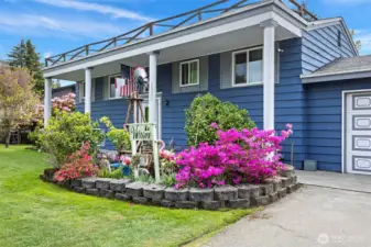 Perennials, classic mature PNW plants and fruit trees.