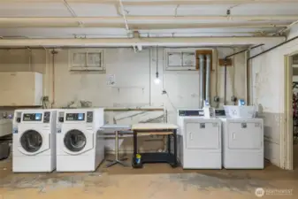 Large and clean common laundry room.