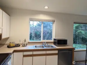 Kitchen window to beauitful greenery.