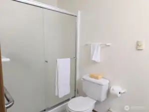 Primary shower with grab handles.