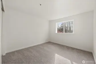 Another View of the Primary Bd - New Carpet