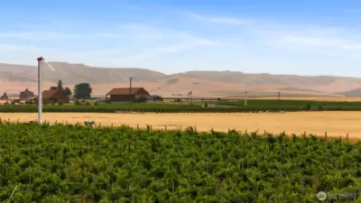 Doubleback Vineyards