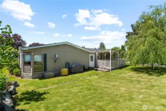 large backyard