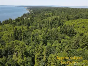 Located on beautiful South Camano Island- peaceful and no ferry required!
