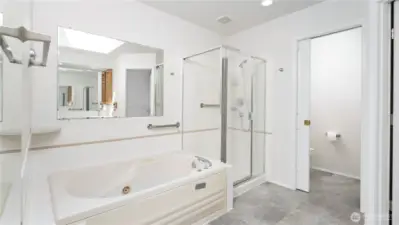 ... a fancy tub and a separate shower, separate throne room, plus a large walk in closet on the right.