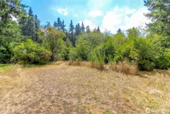 What would you do with all this space?