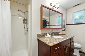 Lower level bath with shower.