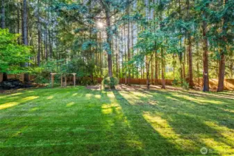 Mature evergreens provide privacy and a true PNW backdrop.