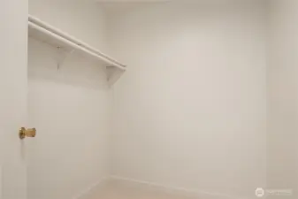 Another huge walk-in storage closet is across the hallway from the hallway and is the size of many home offices.