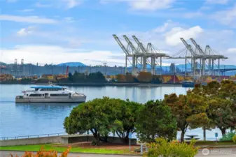 Just a short stroll to the Water Taxi makes going downtown a breeze.