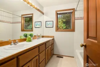 Main/Guest bathroom.