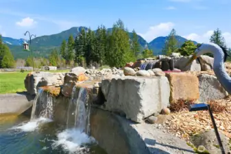 Koi pond & waterfall. There are 4 large Koi & about 30 others smaller mixed koi & goldfish