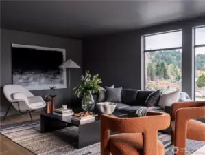 Dark Interior Media Room