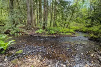 Carpenter Creek is property boundary