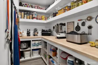 Large pantry with attic stairs going to storage area