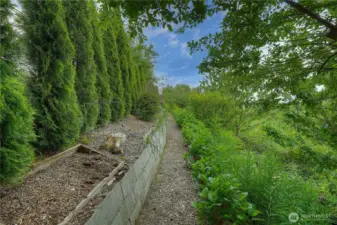 This garden is actually really easy to maintain