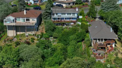 Look at all the fruit trees in your backyard