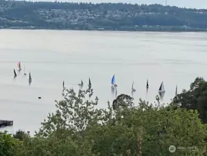 Sailboat races are held every week during the summer months