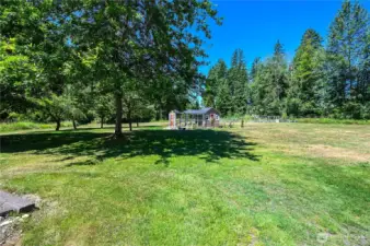 Established Fruit Trees