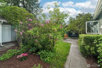 Cute shed addition next to garage for recycling/garbage cans etc. plus private walkway to house from top of driveway.