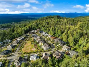Home sits right on Harrison Park at the top of the Issaquah Highlands.